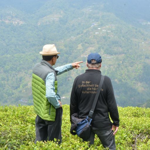 Besuch der Teekampagne in einem Teegarten in Darjeeling